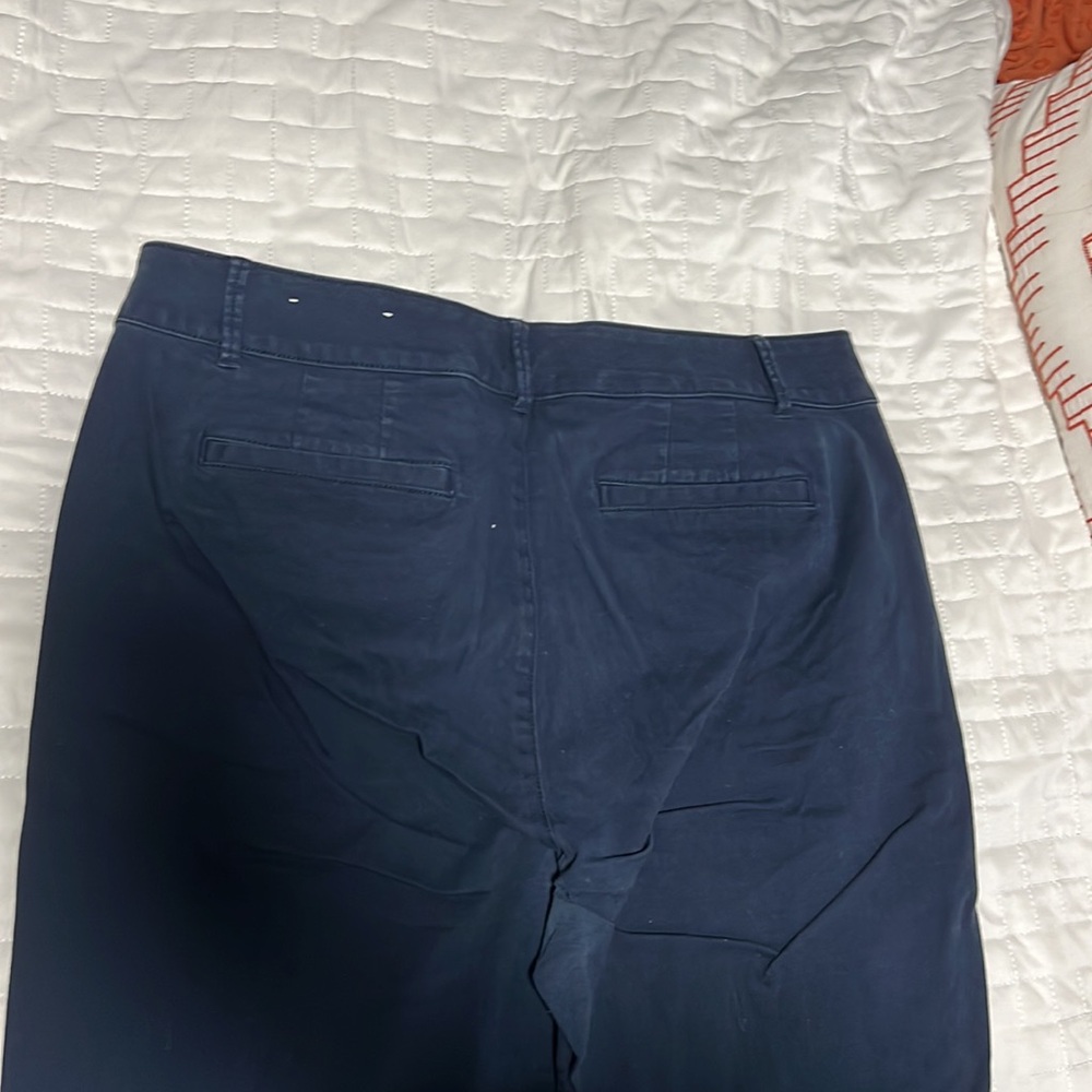 EUC Loft Curvy Girlfriend Chino Pants - Picture 3 of 5